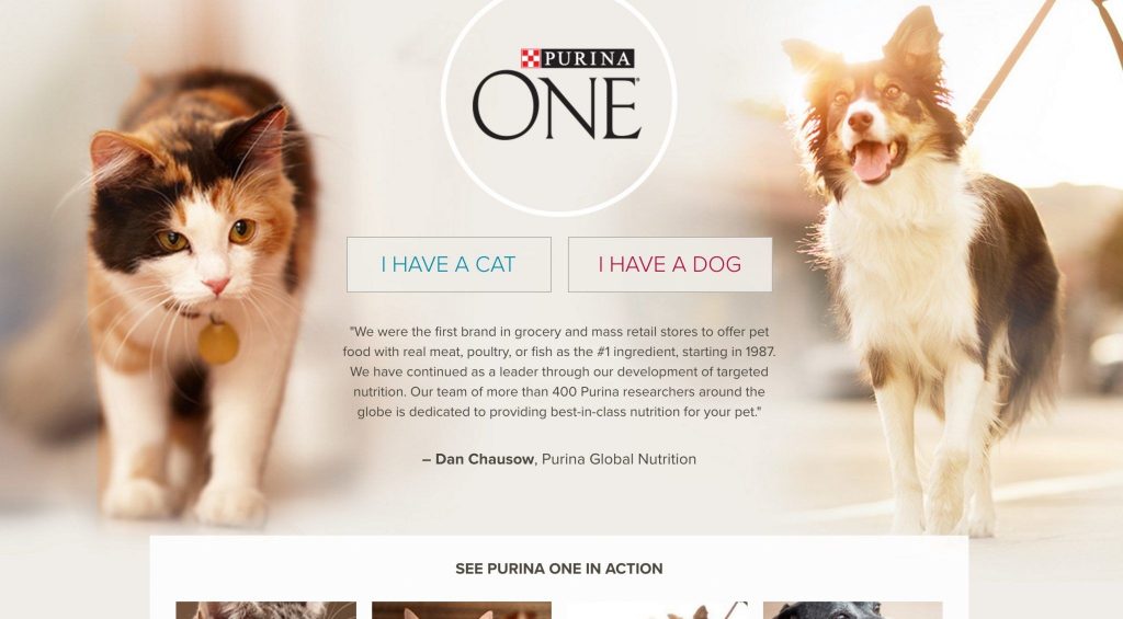 Dog or Cat Personalization