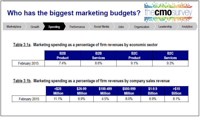 Who has the Biggest Marketing Budgets in 2017?